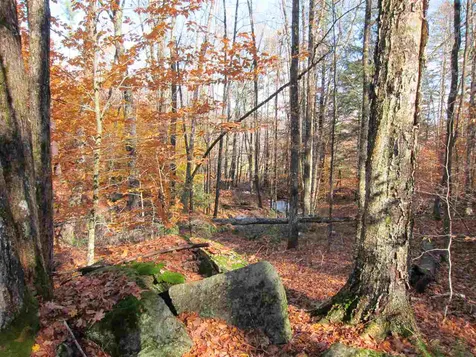 1880 Curtis Hollow Road Woodstock VT 05091
