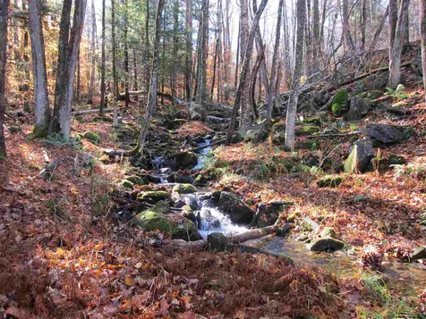 1880 Curtis Hollow Road Woodstock VT 05091