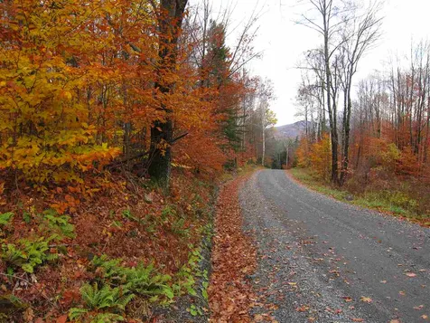 1880 Curtis Hollow Road Woodstock VT 05091