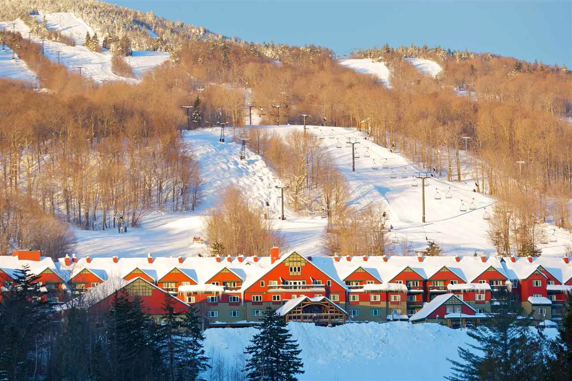 89 Grand Summit Way Dover VT 05356