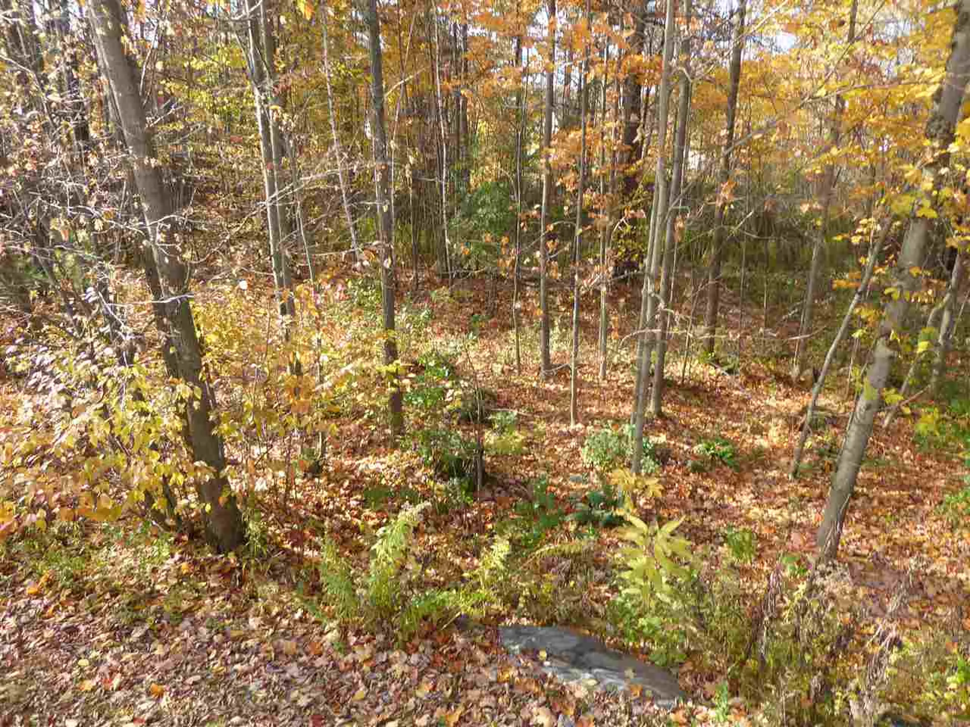 21 Doubleday Lane Essex VT 05452
