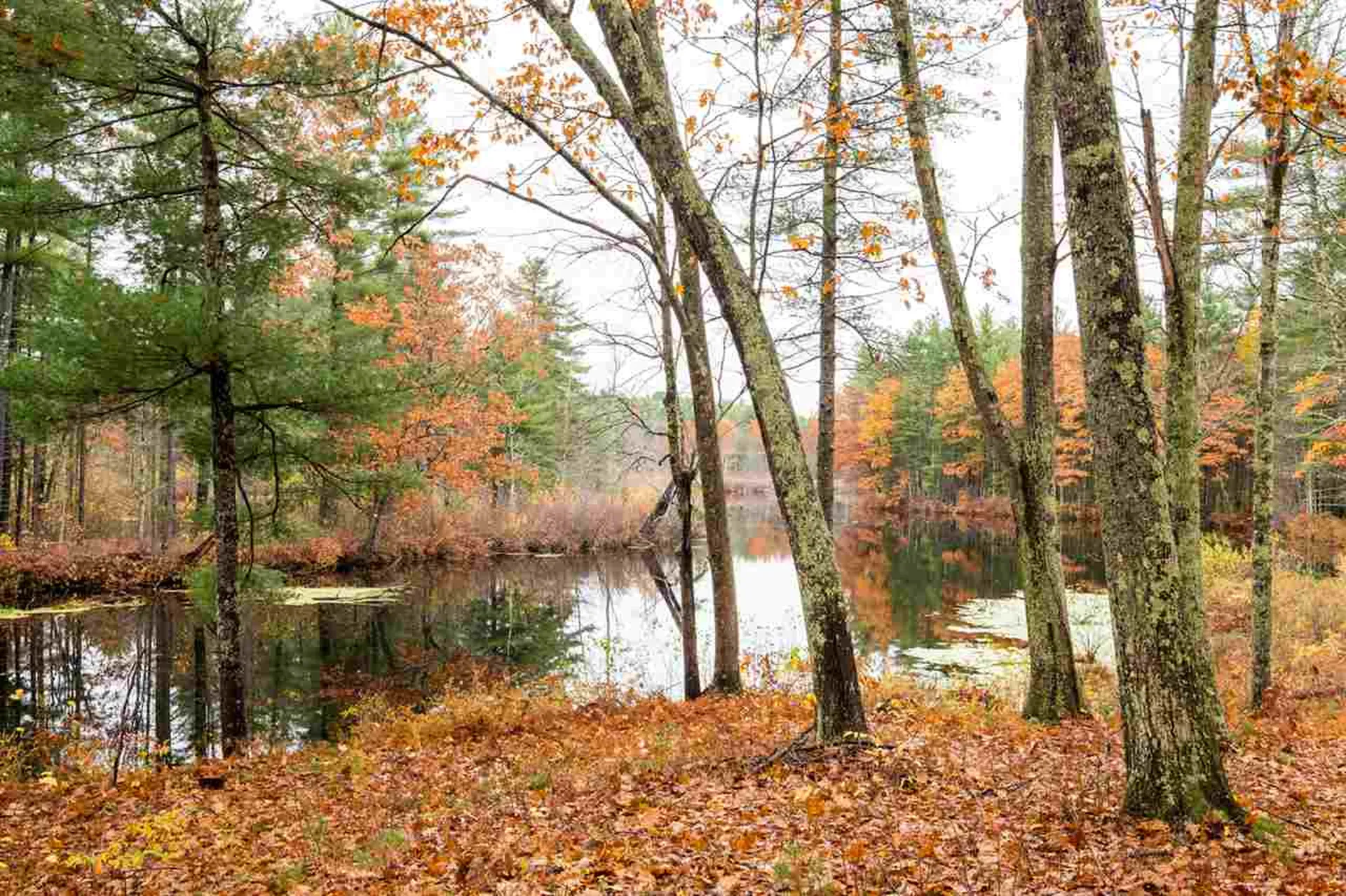 35 Sandpiper Drive Dover NH 03820