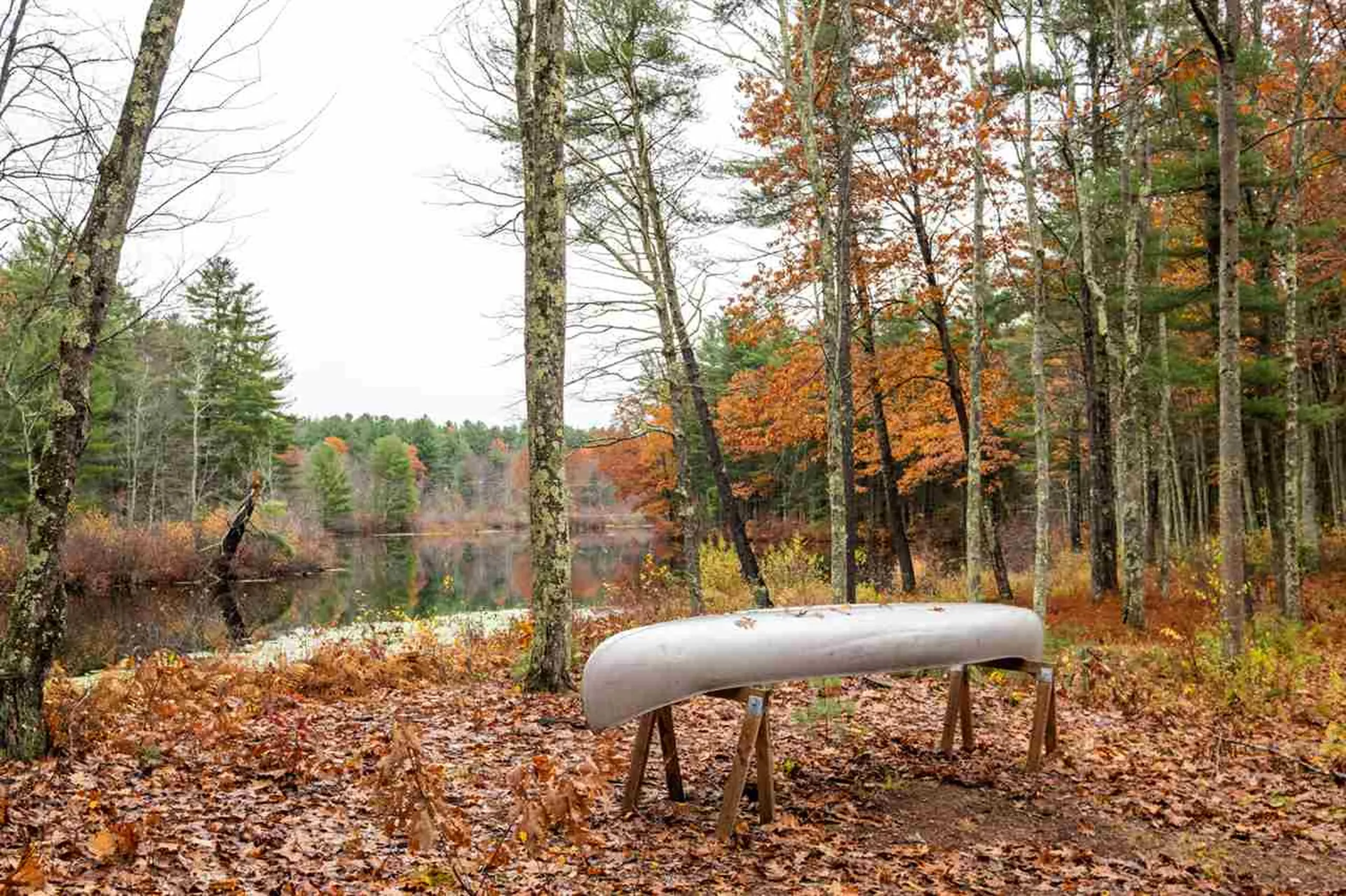 35 Sandpiper Drive Dover NH 03820