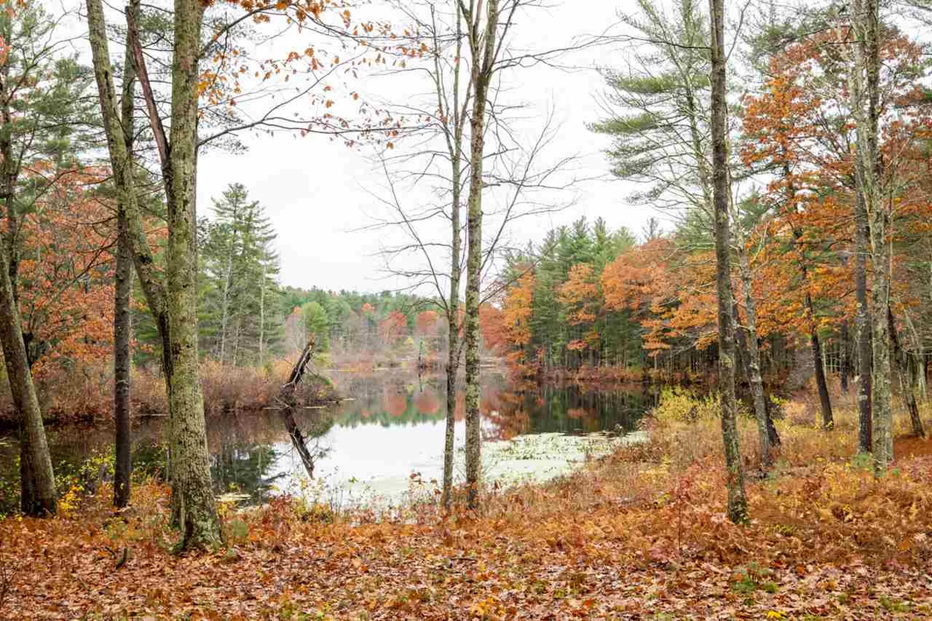 35 Sandpiper Drive Dover NH 03820