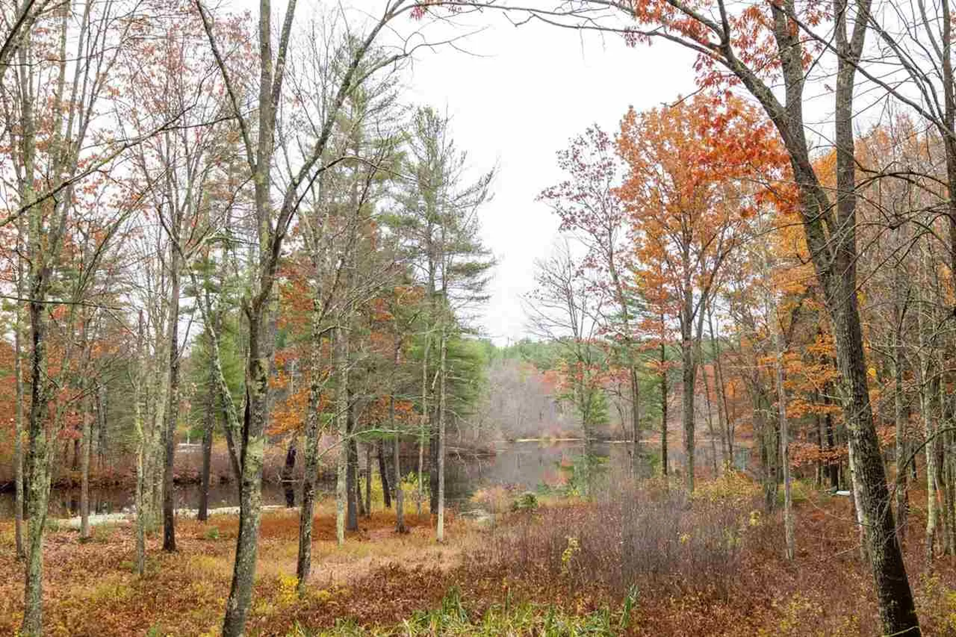 35 Sandpiper Drive Dover NH 03820