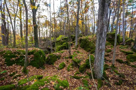 514 Red Rock Road Colchester VT 05446