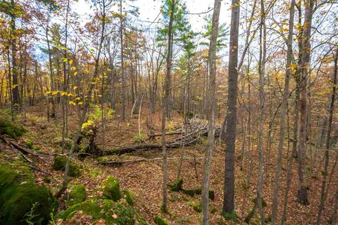 514 Red Rock Road Colchester VT 05446