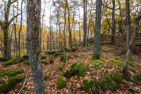 514 Red Rock Road Colchester VT 05446