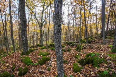 514 Red Rock Road Colchester VT 05446