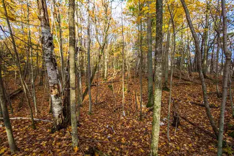 514 Red Rock Road Colchester VT 05446