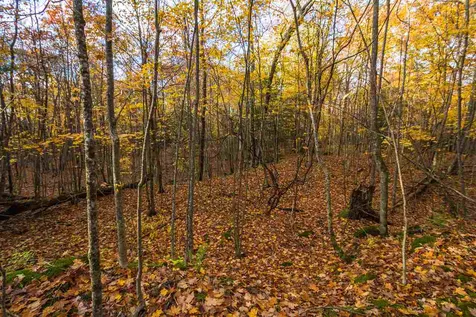 514 Red Rock Road Colchester VT 05446