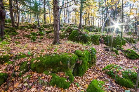514 Red Rock Road Colchester VT 05446