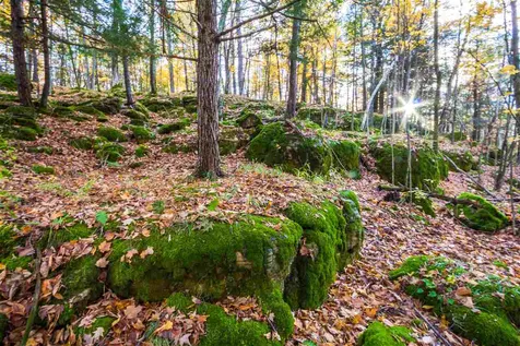 514 Red Rock Road Colchester VT 05446