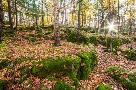 514 Red Rock Road Colchester VT 05446