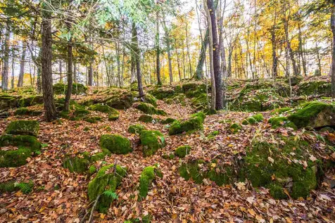 514 Red Rock Road Colchester VT 05446