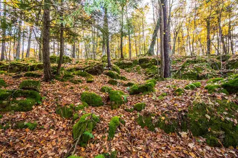 514 Red Rock Road Colchester VT 05446