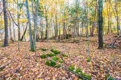 514 Red Rock Road Colchester VT 05446