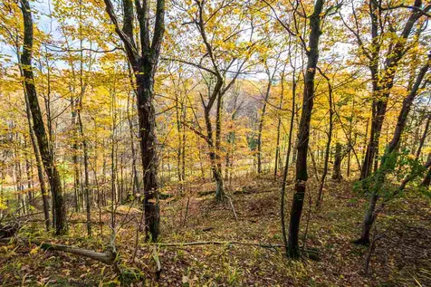 514 Red Rock Road Colchester VT 05446