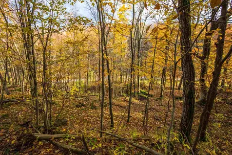 514 Red Rock Road Colchester VT 05446