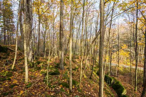 514 Red Rock Road Colchester VT 05446