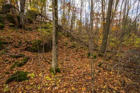 514 Red Rock Road Colchester VT 05446
