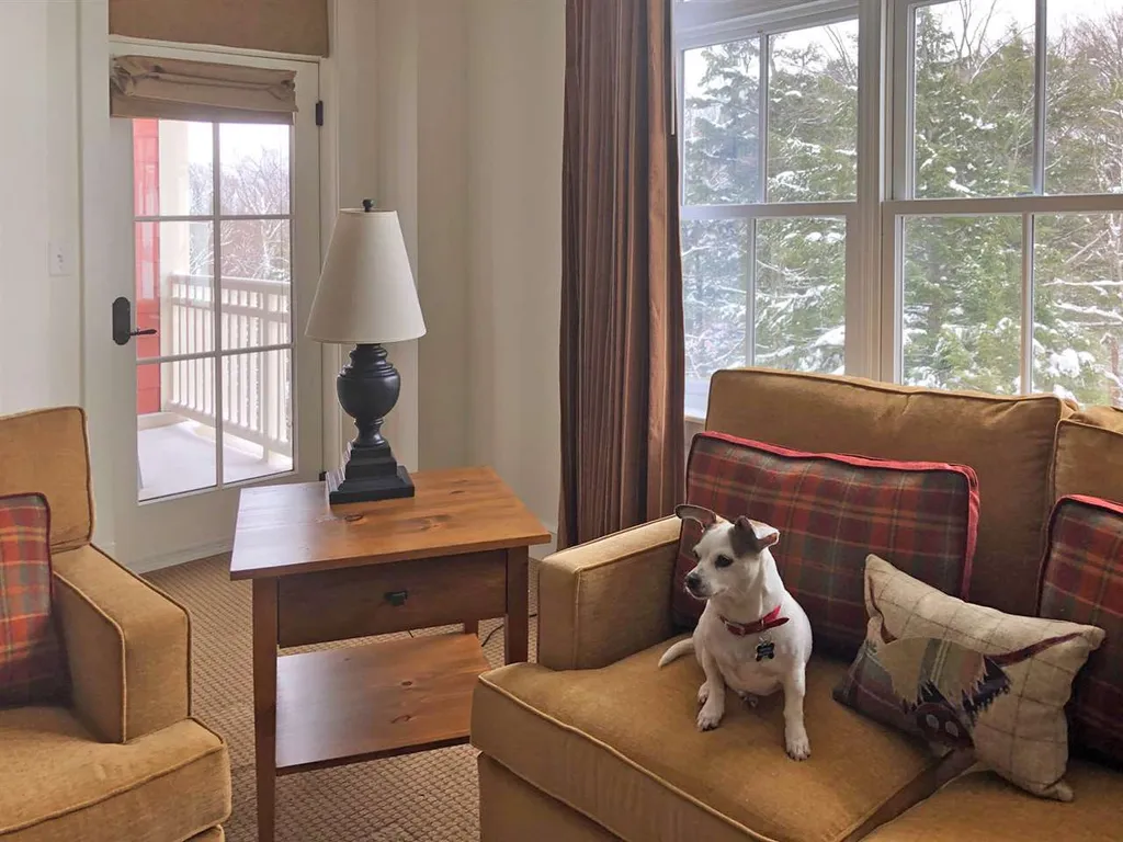 102 Forest Drive Warren VT 05673