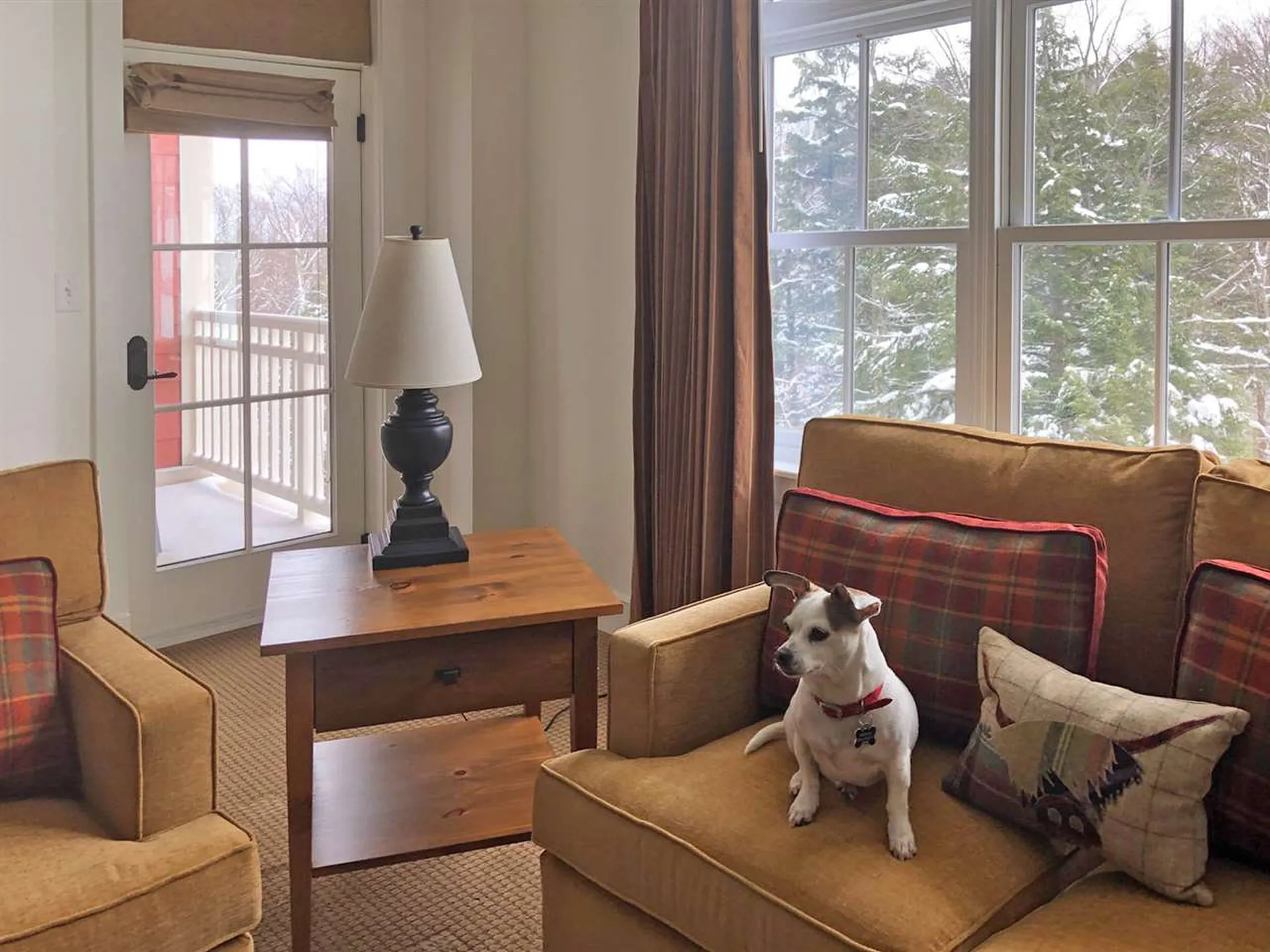 102 Forest Drive Warren VT 05673