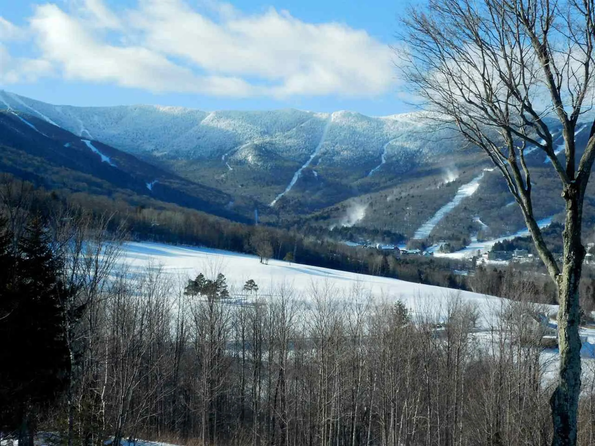 102 Forest Drive Warren VT 05673