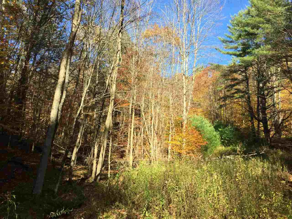 4 Stocklas Road Strafford VT 05072