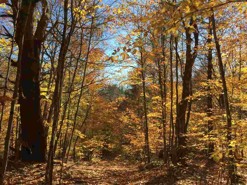 4 Stocklas Road Strafford VT 05072