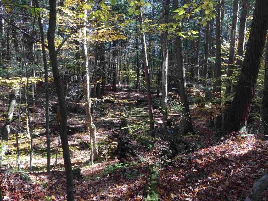 4 Stocklas Road Strafford VT 05072