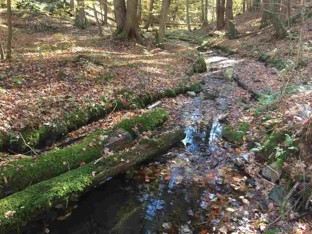 4 Stocklas Road Strafford VT 05072