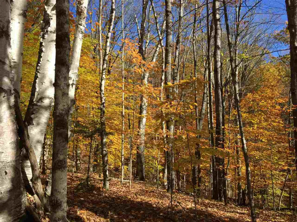 4 Stocklas Road Strafford VT 05072