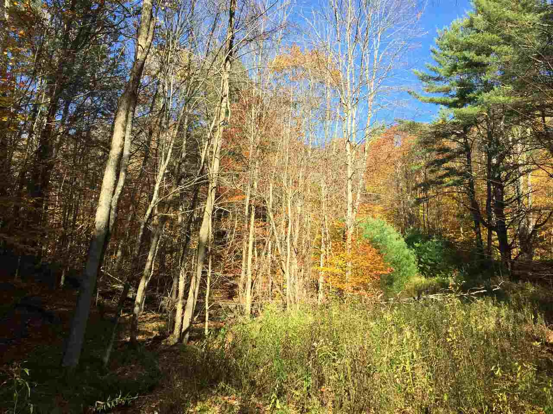 4 Stocklas Road Strafford VT 05072