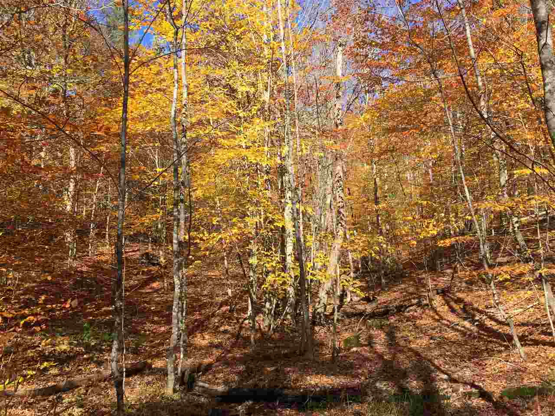 4 Stocklas Road Strafford VT 05072