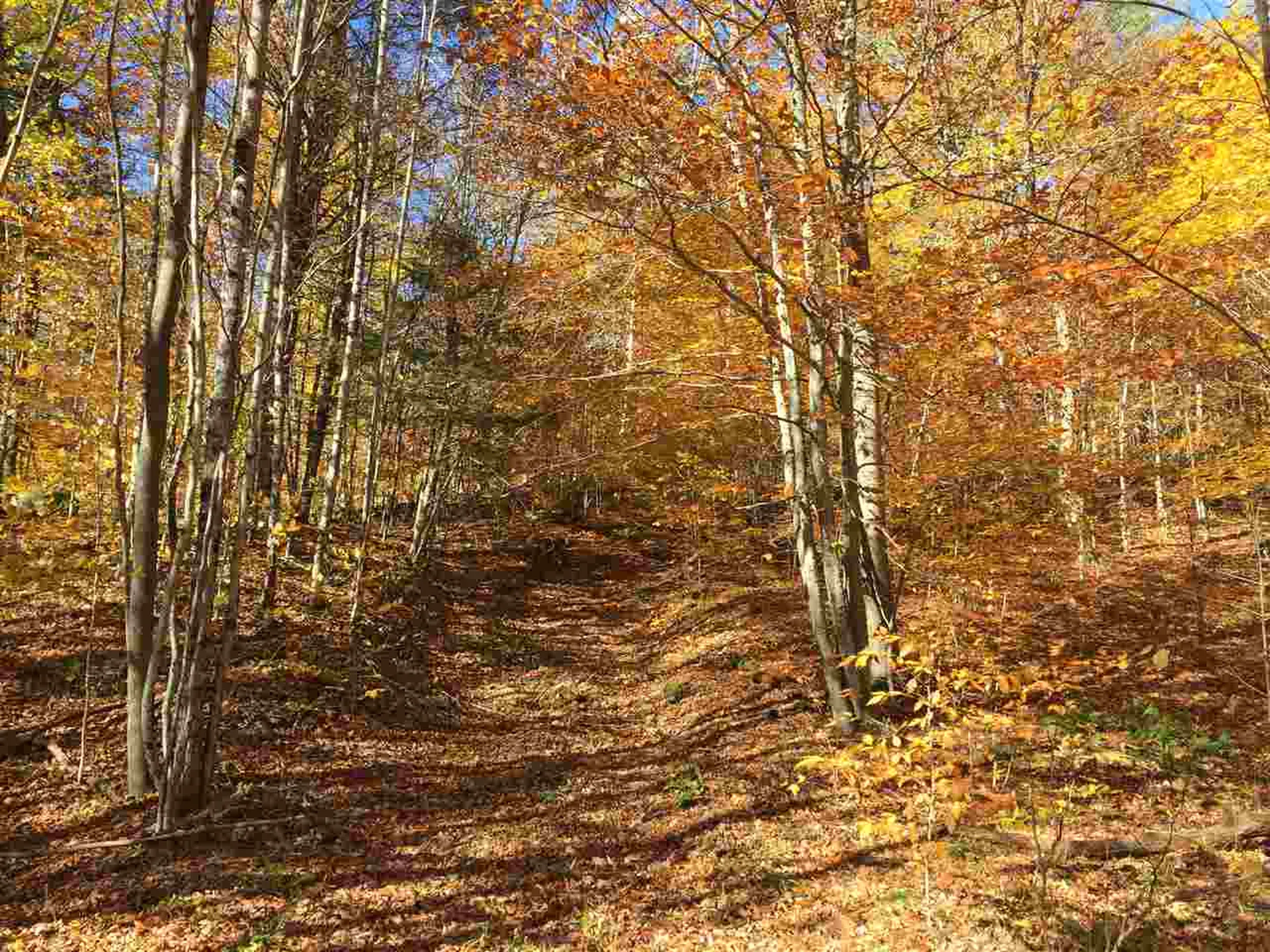 4 Stocklas Road Strafford VT 05072