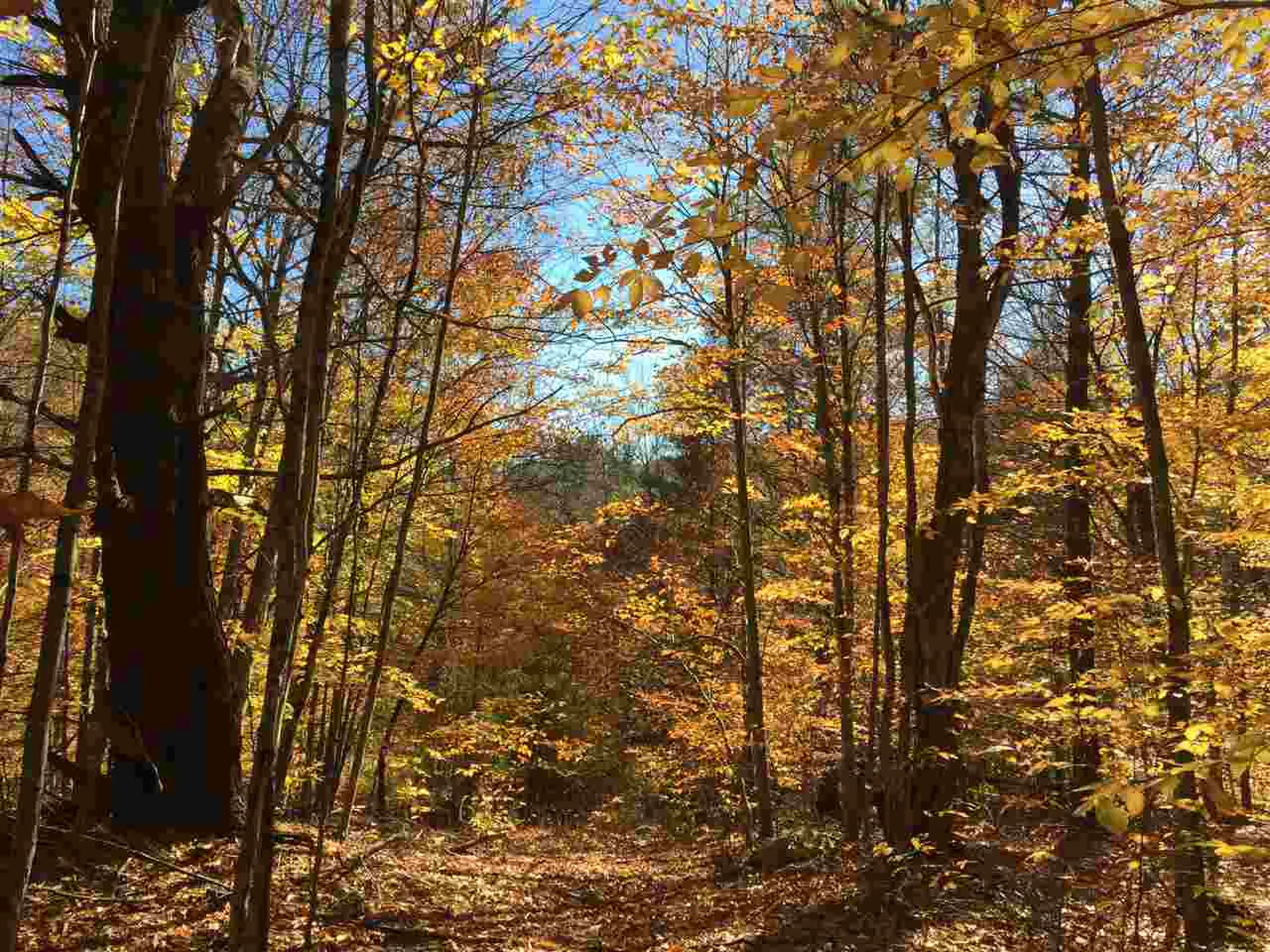 4 Stocklas Road Strafford VT 05072