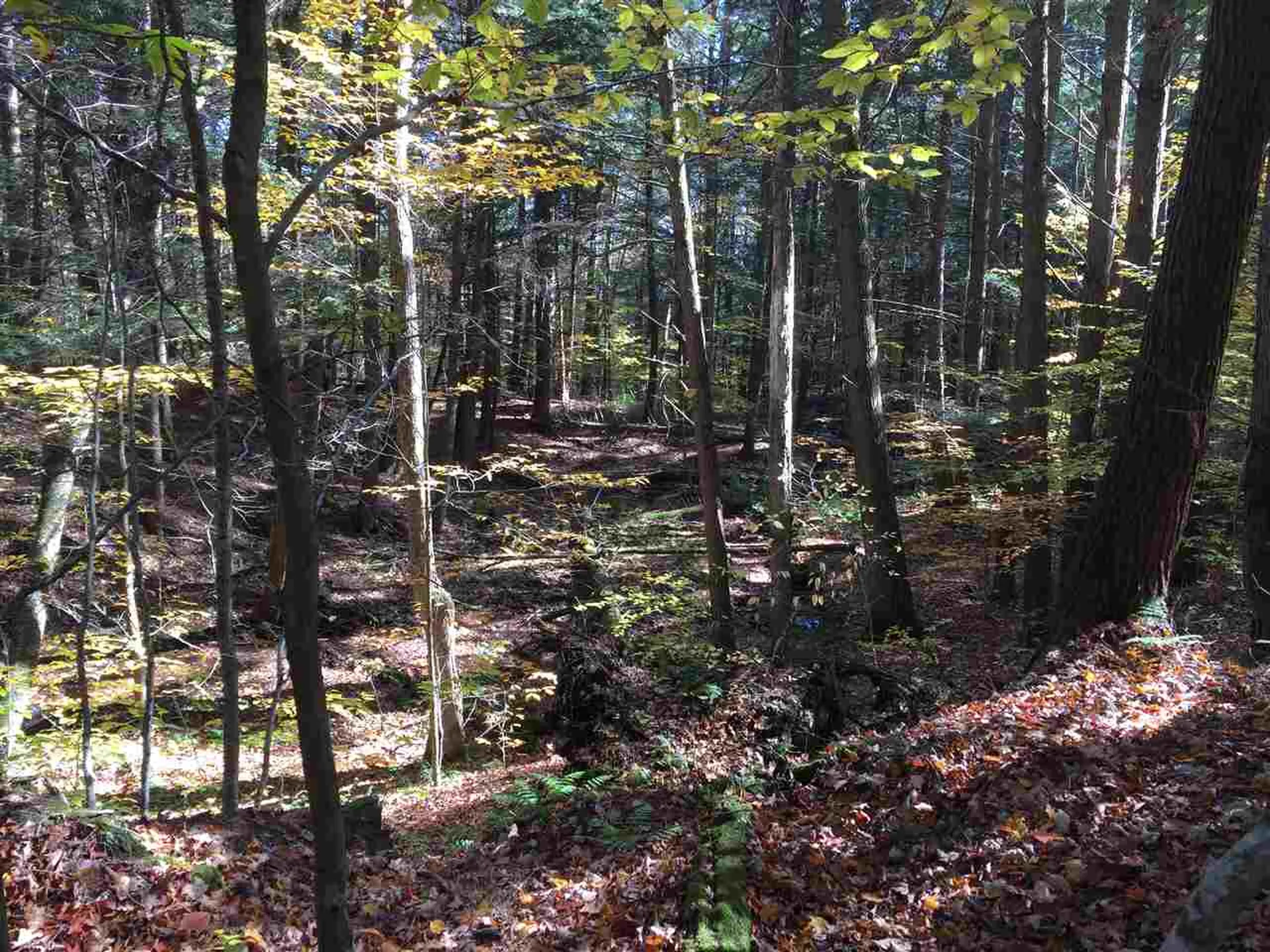 4 Stocklas Road Strafford VT 05072