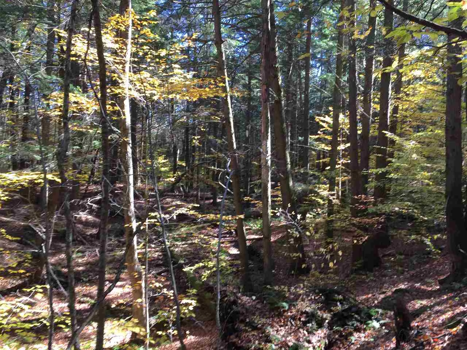 4 Stocklas Road Strafford VT 05072