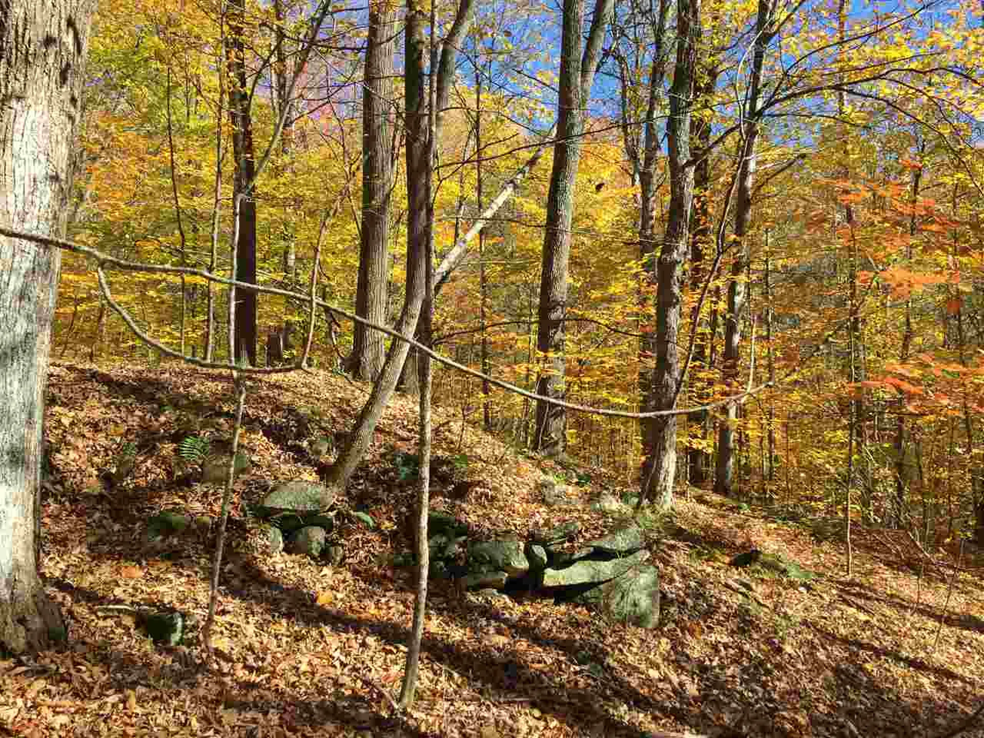4 Stocklas Road Strafford VT 05072