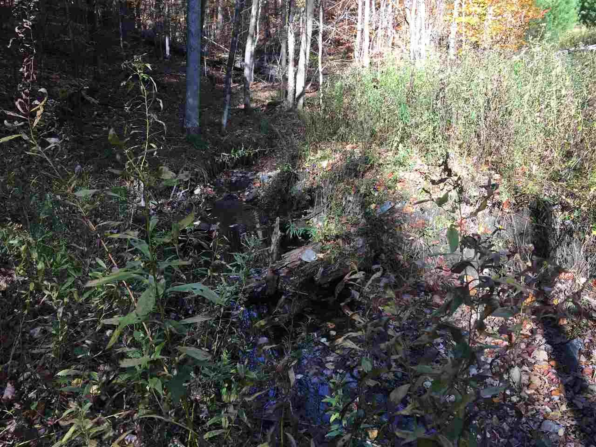4 Stocklas Road Strafford VT 05072