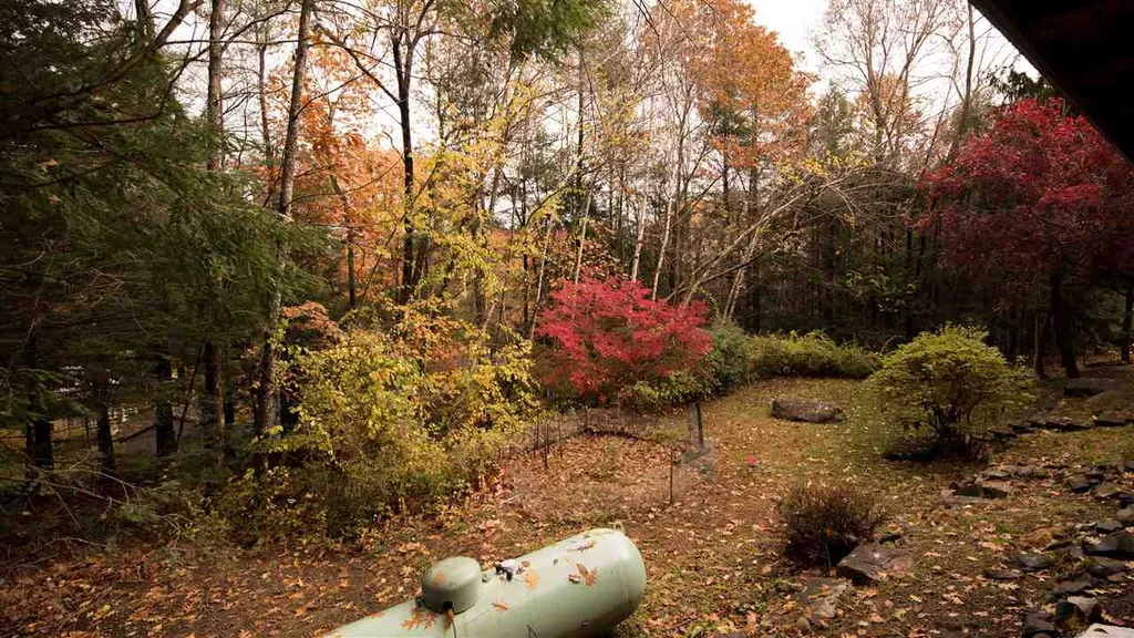 21 Rim Road Danville NH 03819