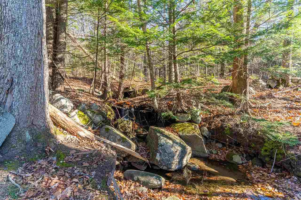 236 Piper Hill Road Center Harbor NH 03226