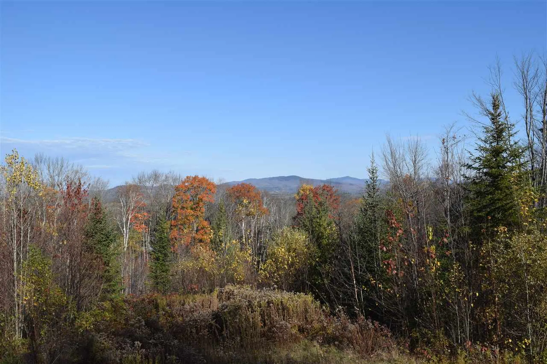 229 Miltimore Road Concord VT 05824