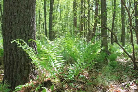 47 Clearwater Drive Dover NH 03820