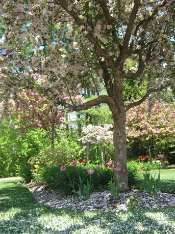 47 Clearwater Drive Dover NH 03820