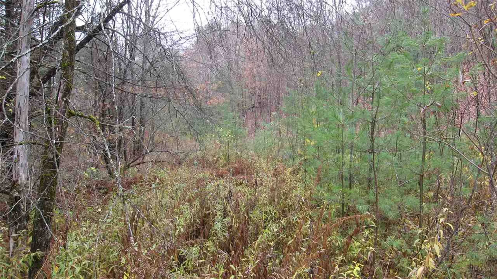 0 Minard Hill Road Groton VT 05046