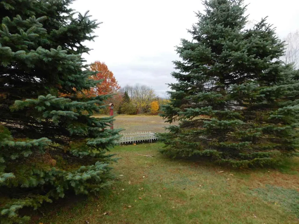 51 Starbird Road Jericho VT 05465