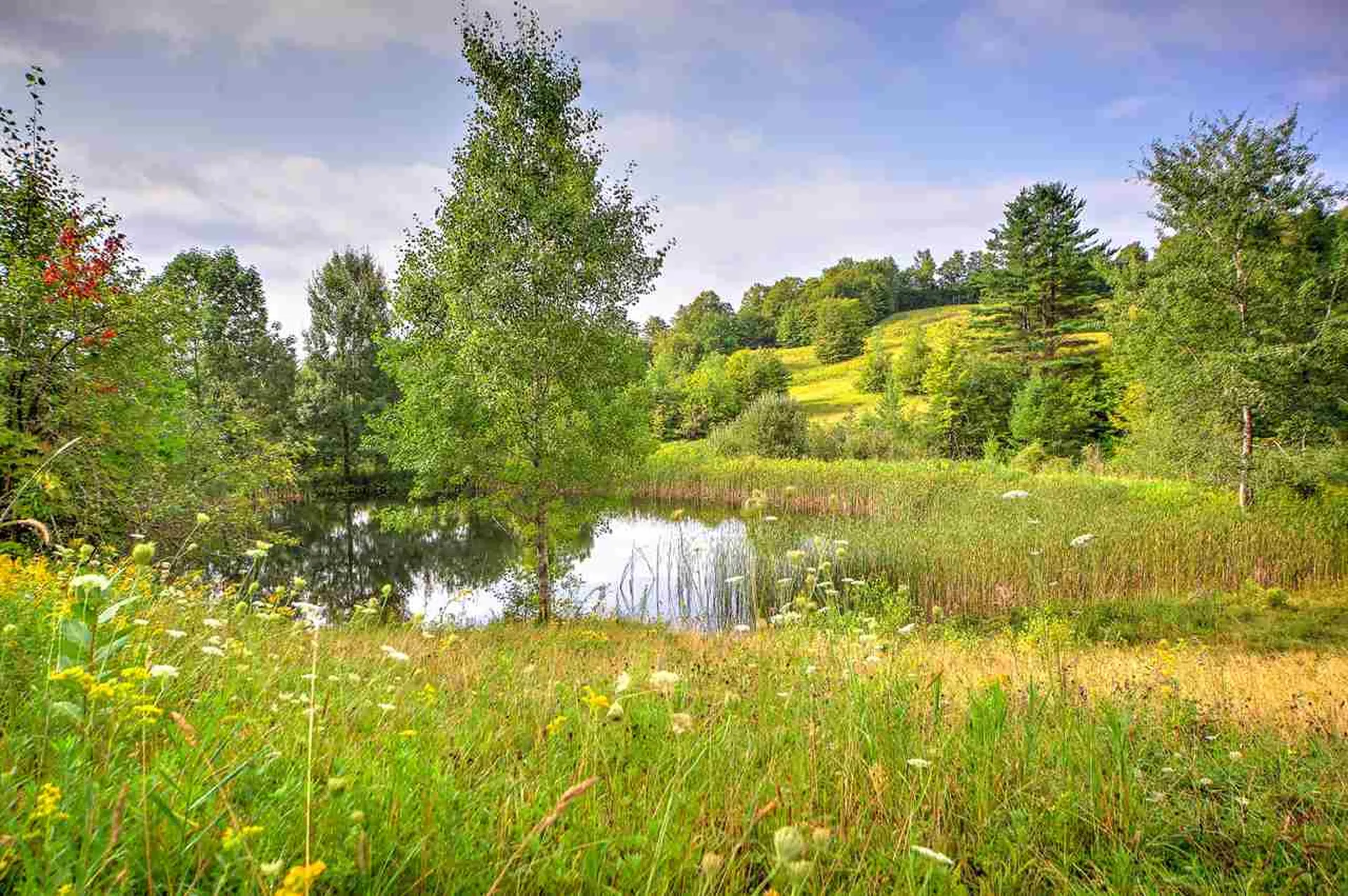21 Havelok Hill Road Strafford VT 05072