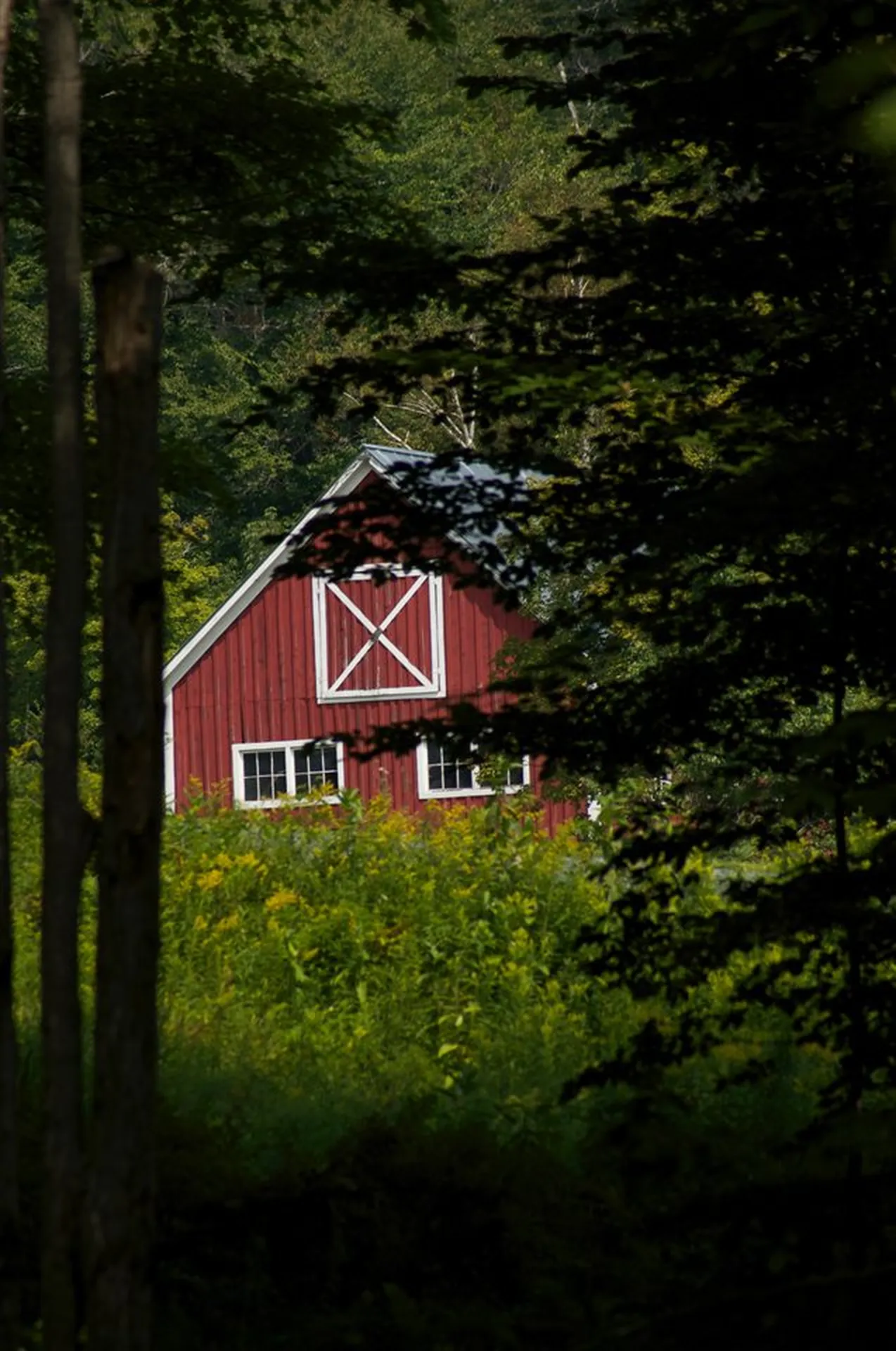 21 Havelok Hill Road Strafford VT 05072